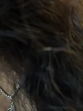 jasss-11 online show from 22, 4, 2026