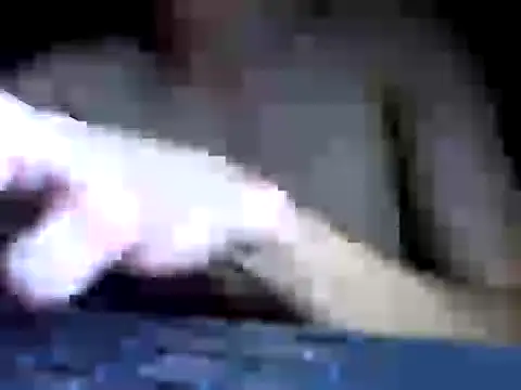 Ian zaenzz online show from 30, 10, 2025