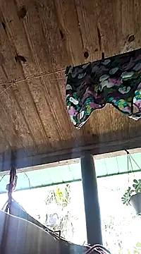 hemo691 online show from 5, 2, 2025