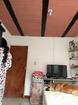 ViolettaSummer online show from 13, 4, 2026