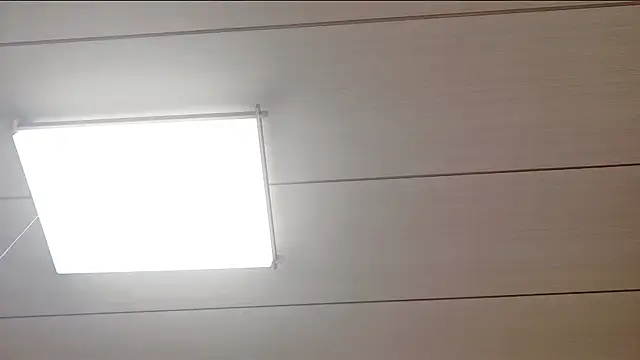 xxArisaxx online show from 11, 2, 2026