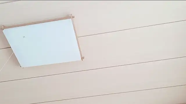 xxArisaxx online show from 1, 3, 2026