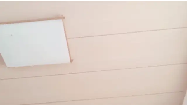 xxArisaxx online show from 3, 12, 2025