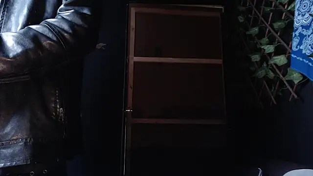 Dicaprioo  online show from 11, 11, 2025