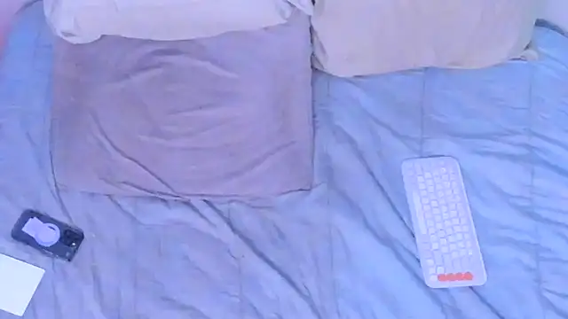 stillwild online show from 12, 3, 2026