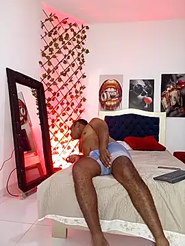 Snapshot of ARTHUR_MINI chatting on 6, 11, 2025 ARTHUR MINI online show from 6, 11, 2025