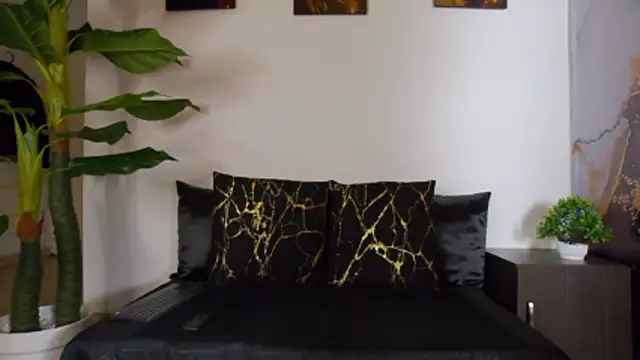 alex noa online show from 14, 2, 2026