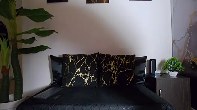 alex noa online show from 16, 2, 2026