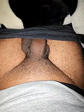 Ali rz94 online show from 27, 11, 2025