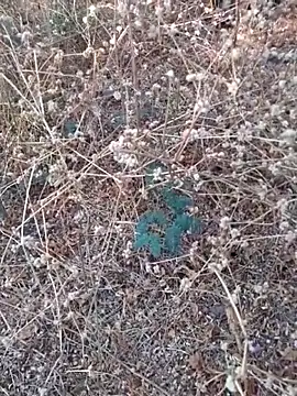 Snapshot of Ajith_mvi chatting on 21, 3, 2026 Ajith mvi online show from 21, 3, 2026