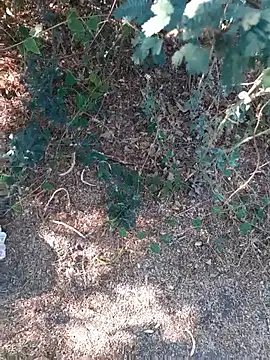 Snapshot of Ajith_mvi chatting on 26, 3, 2026 Ajith mvi online show from 26, 3, 2026