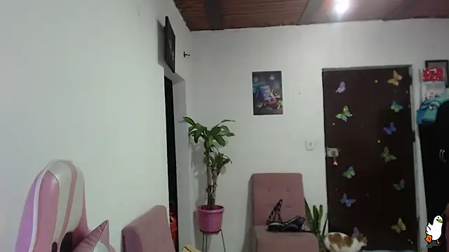 littleangel1 m online show from 2, 2, 2026