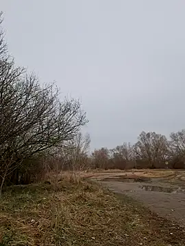 Snapshot of Zeefy chatting on 11, 3, 2025 Zeefy online show from 11, 3, 2025