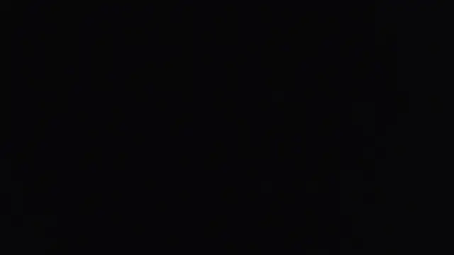 hailzeffn online show from 16, 11, 2025