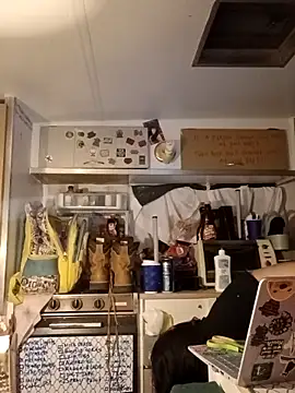 whitetrashdirtyslut online show from 12, 3, 2026