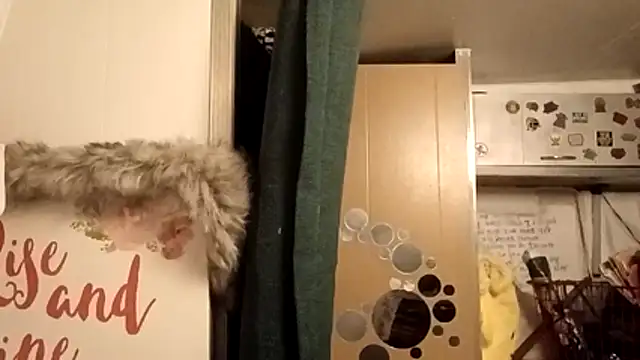 whitetrashdirtyslut online show from 25, 2, 2026