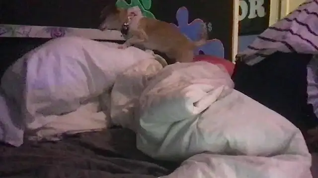 watermellonpussy online show from 23, 12, 2024