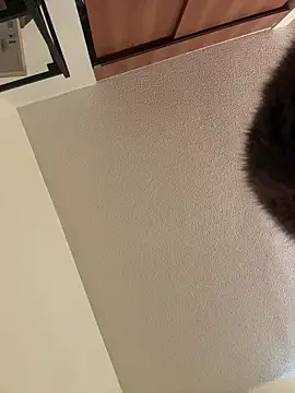 Megan Rodrigo online show from 7, 3, 2026