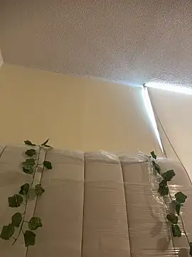 Megan Rodrigo online show from 13, 3, 2026