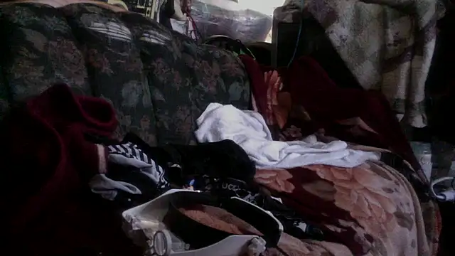 Snapshot of Phelyxx_elgato chatting on 9, 12, 2024 Phelyxx elgato online show from 9, 12, 2024