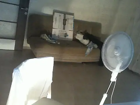 Snapshot of thekeys chatting on 12, 7, 2026 thekeys online show from 12, 7, 2026