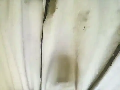 richa22cm online show from 12, 11, 2025