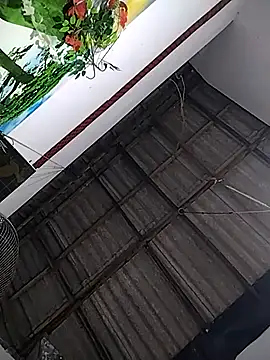 Nishii Girl online show from 11, 1, 2026