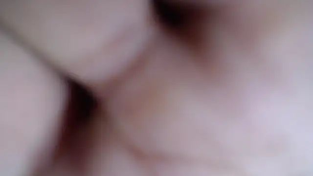 harold 18  online show from 14, 11, 2025