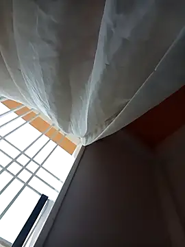 Juniorsexpen online show from 7, 3, 2026