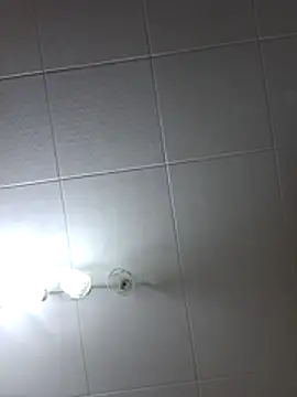 Snapshot of Javier_bear chatting on 10, 7, 2026 Javier bear online show from 10, 7, 2026