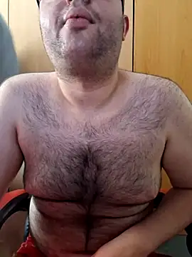 Javier bear online show from 20, 5, 2026