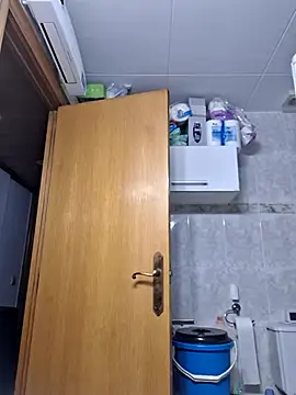 Javier bear online show from 23, 2, 2026