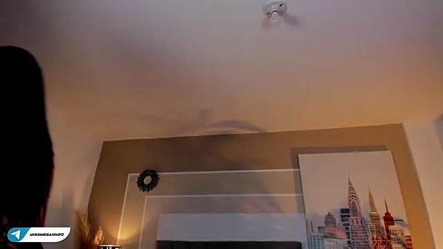 Snapshot of missmegann chatting on 29, 1, 2025 missmegann online show from 29, 1, 2025