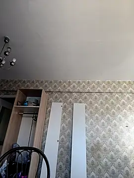 Lady nice cat online show from 16, 11, 2025