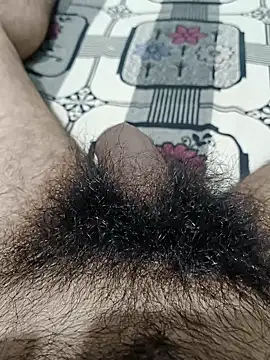 devilheaven online show from 12, 10, 2025