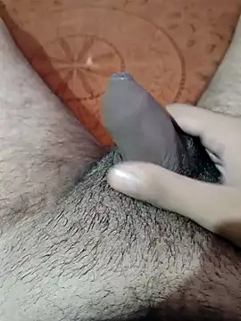 devilheaven online show from 29, 11, 2025