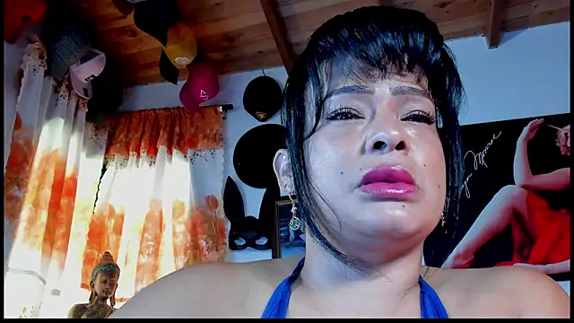 seleneh online show from 5, 10, 2025