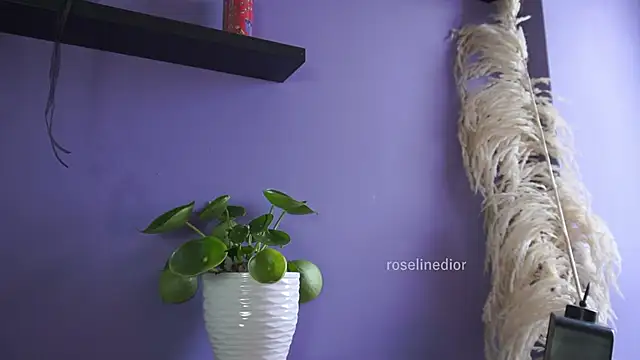 Snapshot of roselinedior chatting on 20, 5, 2026 roselinedior online show from 20, 5, 2026