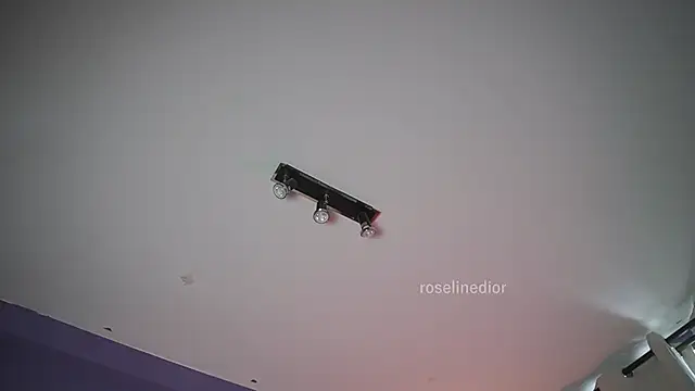 Snapshot of roselinedior chatting on 21, 6, 2026 roselinedior online show from 21, 6, 2026