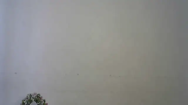 seema raani online show from 16, 4, 2026