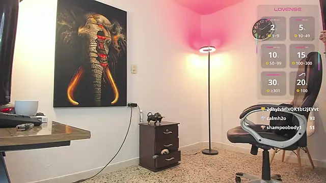 Nicolas Fellener online show from 8, 10, 2025