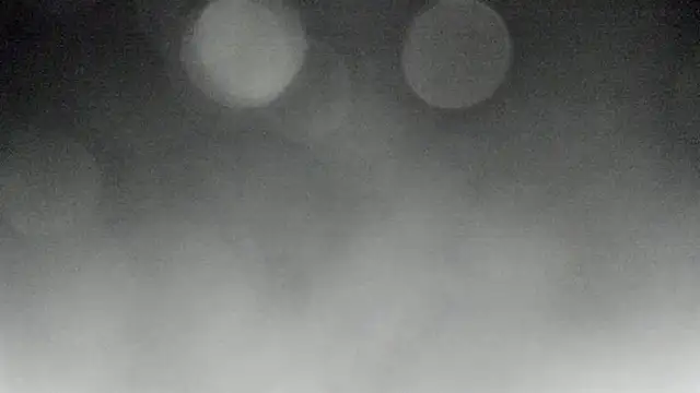 Bitch Coin online show from 10, 11, 2025