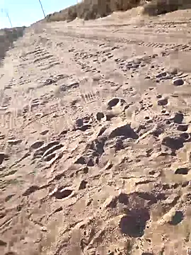 prettyboi6992 online show from 1, 3, 2026