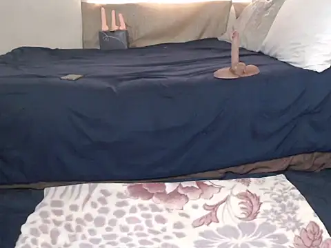 AdelaideT online show from 11, 11, 2025