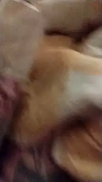 Snapshot of fukurbutt chatting on 1, 12, 2025 fukurbutt online show from 1, 12, 2025