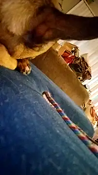 Snapshot of fukurbutt chatting on 19, 2, 2026 fukurbutt online show from 19, 2, 2026