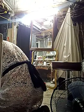 cdressupdiva online show from 2, 4, 2026