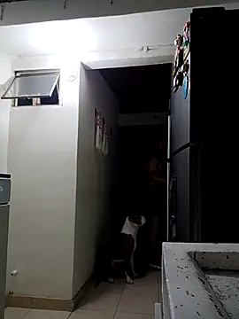 sebasxx97 online show from 13, 2, 2026