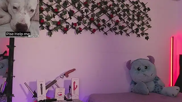 Alaia Asuka online show from 5, 12, 2025