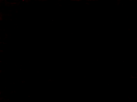 BIGPINKBYRD online show from 1, 3, 2026